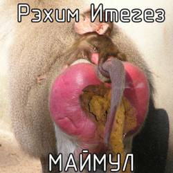 Rehim Itegez : Maymul